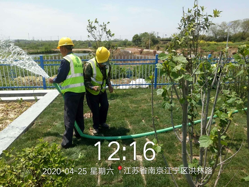 mmexport1591409144915 mmexport1591409144915