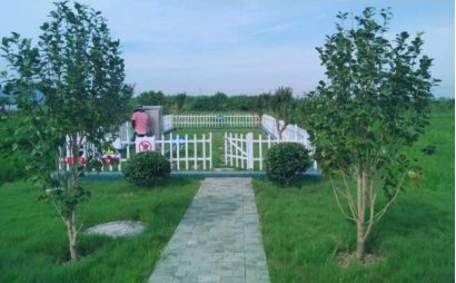 达泽环保 生活污水处理爱体育官方网站 达泽环保 生活污水处理爱体育官方网站