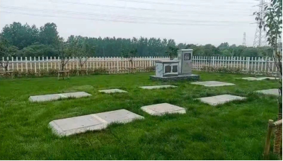 达泽环保 生活污水处理爱体育官方网站 达泽环保 生活污水处理爱体育官方网站