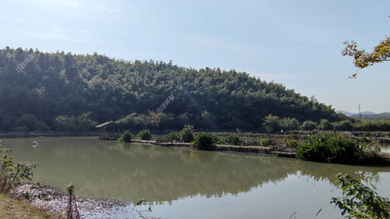 达泽环保 景区生活污水治理 达泽环保 景区生活污水治理