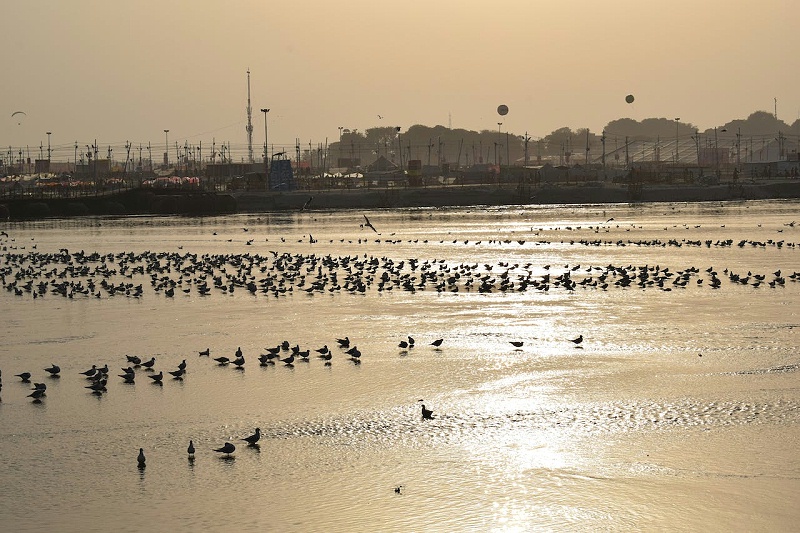 pexels-rajesh-s-balouria-18330212 pexels-rajesh-s-balouria-18330212