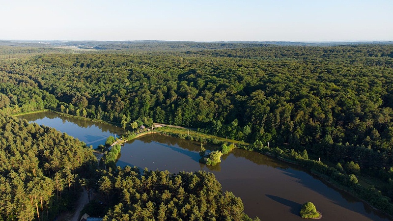 pexels-daniel-eliashevsky-12685058 pexels-daniel-eliashevsky-12685058